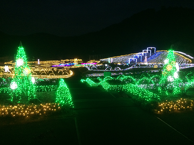 茨城県フラワーパーク